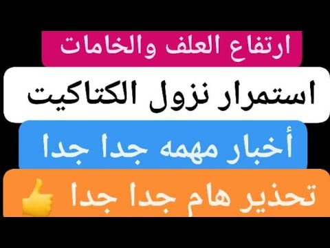 تواصل ارتفاع الخامات والإعلاف وثبات الباقي السبت 20/1/2024