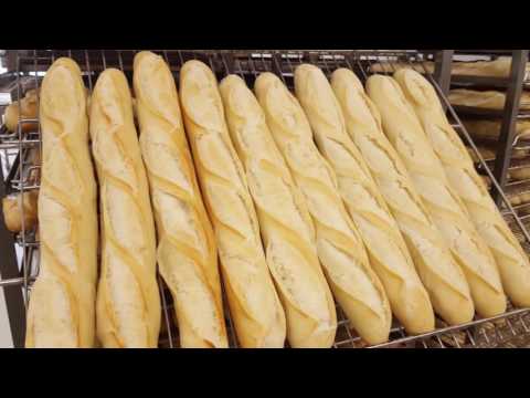 MERAND Ligne RheoPan pour production de baguette, tradition, brioche, Batard, pain complet.