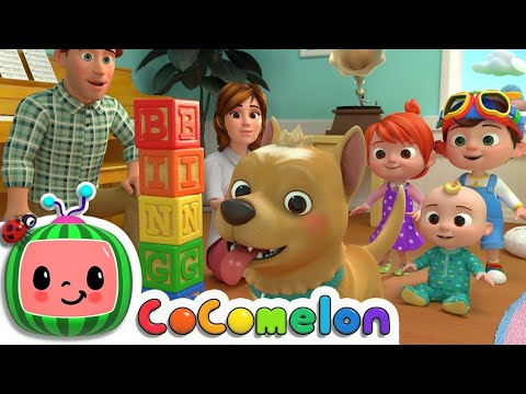 COCOMELON ll LAGU ANAK ANAK