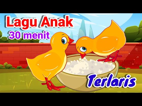 Lagu Anak 30 Menit - Lagu Anak pilihan Terlaris - Animasi Ayam