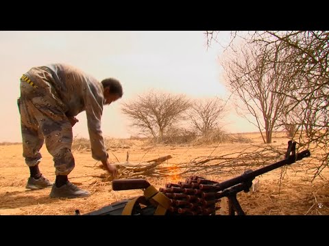 War in the Sahel: who are the new masters of Mali?