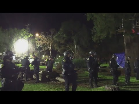 Protesters arrested at People's Park in Berkeley as trees cut, fencing put up ahead of construction