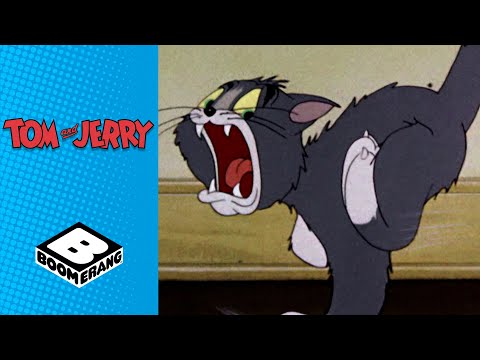 Tom &amp; Jerry vs Spike | Tom &amp; Jerry | Boomerang UK