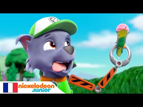 Paw Patrol : la Pat'Patrouille | La dent perdue! | NICKELODEON JUNIOR