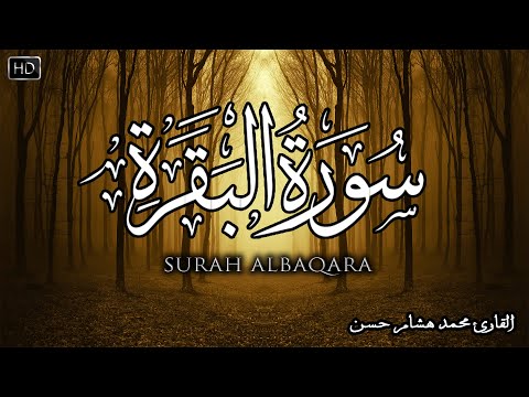 سورة البقرة كاملة | القارئ محمد هشام Surah Al Baqarah