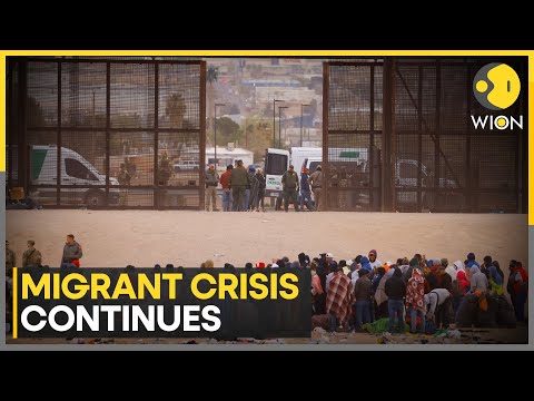 US-Mexico migrant crisis: Migrants navigate through barbed wires to surrender in US | WION