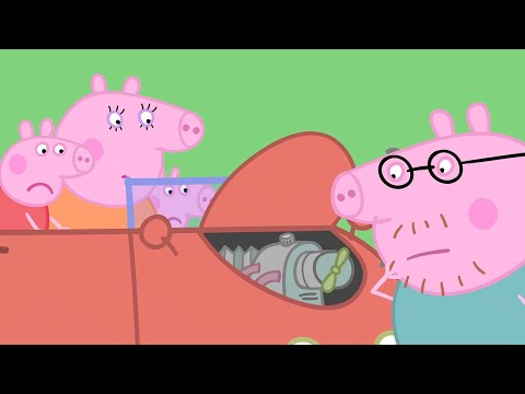 English Cartoon | Peppa Pig New Episode 