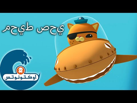 أوكتونوتس | محيط صحي | حلقات مُجمعّة