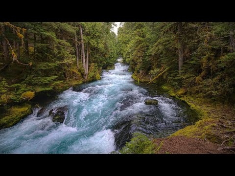 nature relaxing sleep, river, birth||asmr ||relaxation piano 