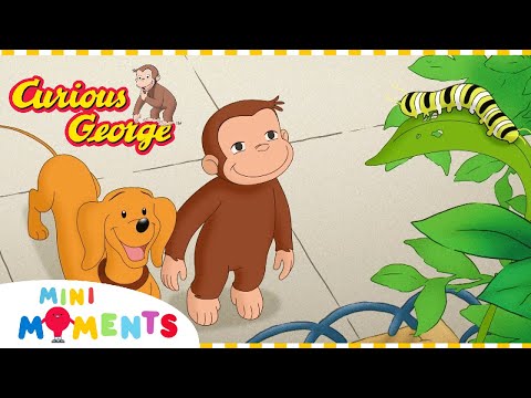 George and Hundley Make New Friends  | Curious George | 1 Hour | Mini Moments