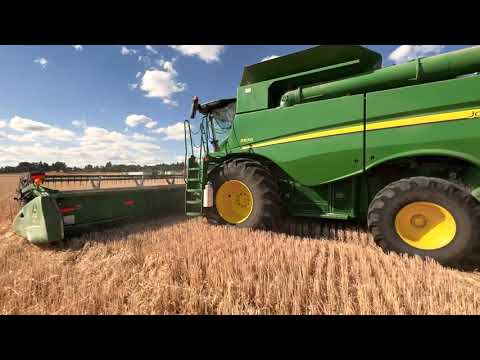 Combining Wheat