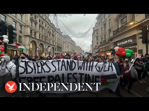 Pro-Palestine protesters shut down Oxford Street