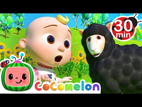 [ 30 MIN LOOP ] Baa Baa Black Sheep🐏 | Learn &amp; Sing Classics | CoComelon Nursery Rhymes &amp; Kids Songs