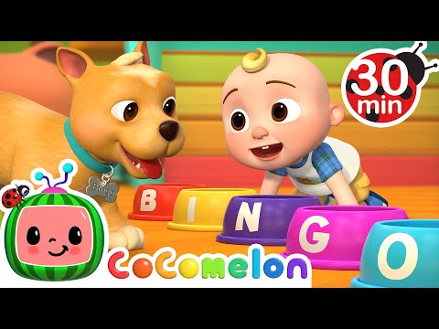 Bingo Was His Name-O + MORE Dog Songs! CoComelon Nursery Rhymes &amp; Animal Songs