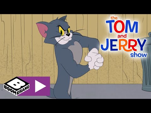 The Tom and Jerry Show | May The Strongest Cat Win! | Boomerang UK 🇬🇧