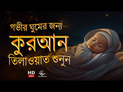 প্রশান্তিময় ঘুমের জন্য সুন্দর কুরআন তেলাওয়াত । BEAUTIFUL QURAN RECITATION | For Relaxing Sleep