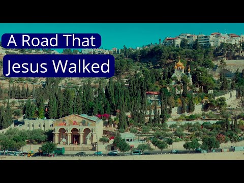 Jerusalem's Path of the Prophets: The Palm Sunday Road on Mount of Olives