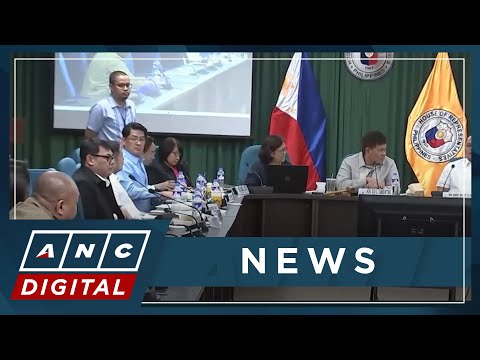 House panel set to tackle suspension of SMNI operations | ANC