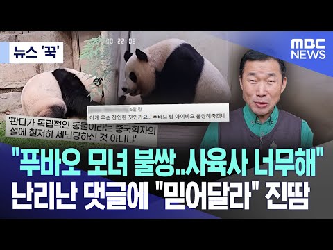 [뉴스 '꾹'] &quot;푸바오 모녀 만나게 해줘요&quot; 난리난 댓글..사육사 &quot;믿어달라&quot; 진땀 (2023.12.31/MBC뉴스)