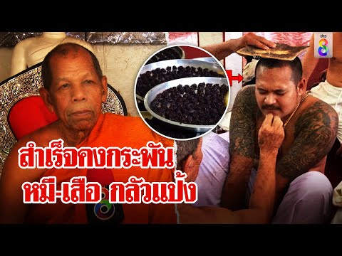 แป้งสำเร็จจริง! วิชาคงกระพัน พระเตือนระวังจุดจบ อึ้งหมี-เสือในป่ายังกลัว | ลุยชนข่าว | ข่าวช่อง8