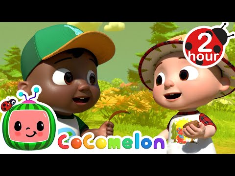 Row Row Row (Camping Song) | CoComelon - Cody Time | CoComelon Songs for Kids &amp; Nursery Rhymes