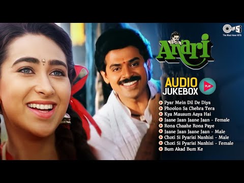 Anari Movie All Songs | Venkatesh &amp; Karisma Kapoor | Bollywood 1993 Old Movie Songs | Audio Jukebox