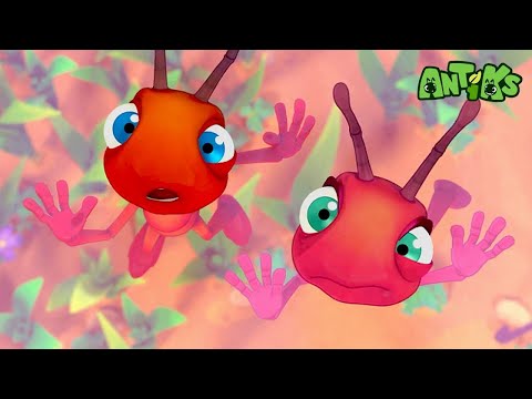 Bubble Balloon! | 🐛 Antiks &amp; Insectibles 🐜 | Funny Cartoons for Kids | Moonbug