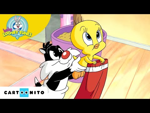 L'arbre de No&euml;l | Baby Looney Tunes | Cartoonito France