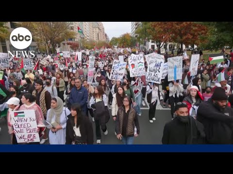 Palestinian protesters take to the streets of Washington