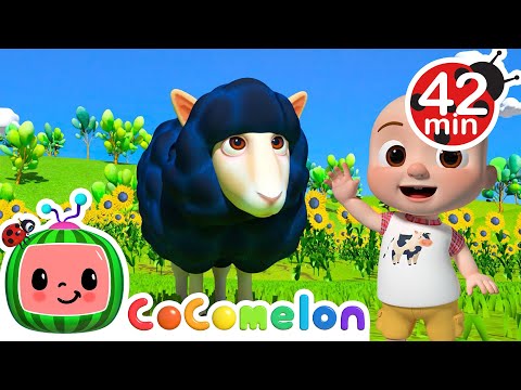 Baa Baa Black Sheep - CoComelon | Kids Cartoons &amp; Nursery Rhymes | Moonbug Kids