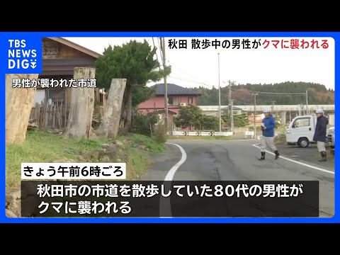 【クマが住宅街に】散歩中の80代男性、クマに頭をかまれる　意識あり　秋田市の住宅街｜TBS&amp;nbsp;NEWS&amp;nbsp;DIG