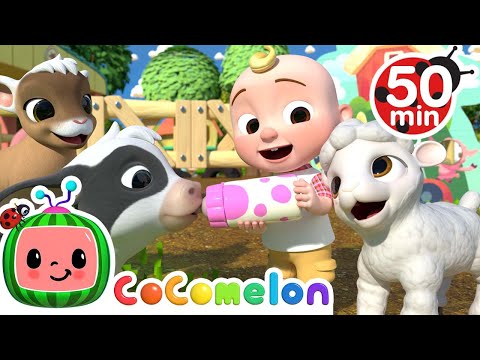 Old MacDonald Song - Baby Animals + More Nursery Rhymes &amp; Kids Songs - CoComelon