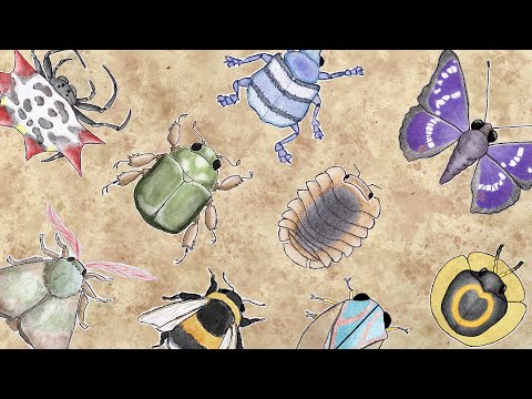 music for bugs - full album