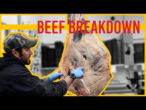 Beef Breakdown - Carcass Breakdown - Grain Finished