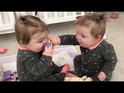 Funniest TWIN Baby Girls Share A Pacifier