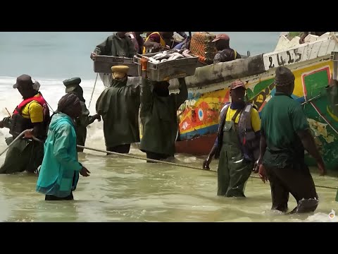 Mauritania, the Conveyors of the Desert | Deadliest Journeys