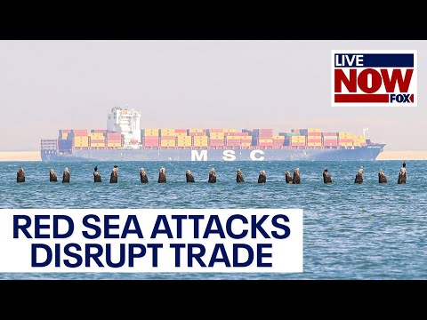 Red Sea attacks disrupt global shipping as U.S. tries to counter Houthi threats | LiveNOW from FOX