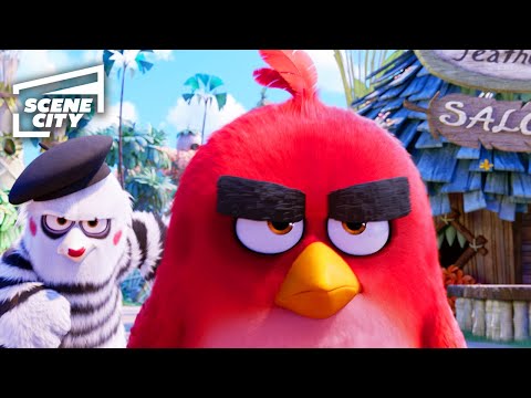 The Angry Birds Movie: Anger Management (FAMILY MOVIE HD CLIP)