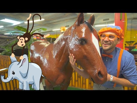 Blippi Learns about Jungle Animals for Kids | Educational Videos for Toddlers