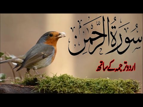 Surah Rahman With Urdu Translation | سورہ رحمان اردو ترجمہ کے ساتھ