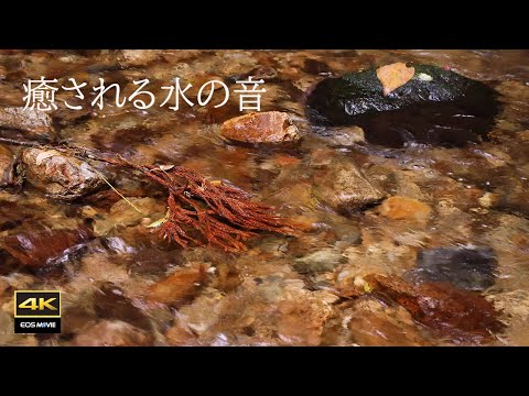 4K video + natural environmental sounds ASMR Soothing sound of gently flowing water