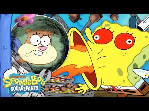 The Krusty Krab is NUTS for Sandy's New Snack! 🥜 | &quot;Hot Crossed Nuts&quot; in 5 Minutes! | SpongeBob