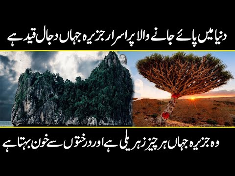 Socotra island, The Island of Dajjal | Dajjal ka Jazeera | Urdu Cover