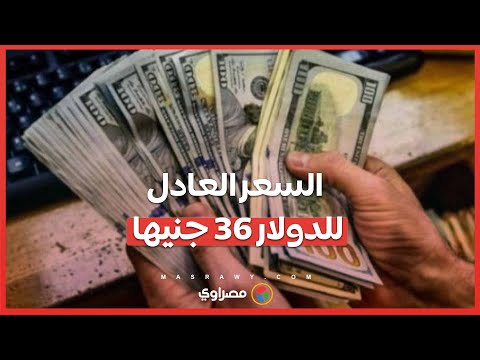 السعر العادل للدولار 36 جنيه فى المستقبل وهناك رؤية مصرية طموحة ..ما التفاصيل ؟