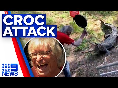 Aussie pub owner fends off crocodile with a frying pan | 9 News Australia