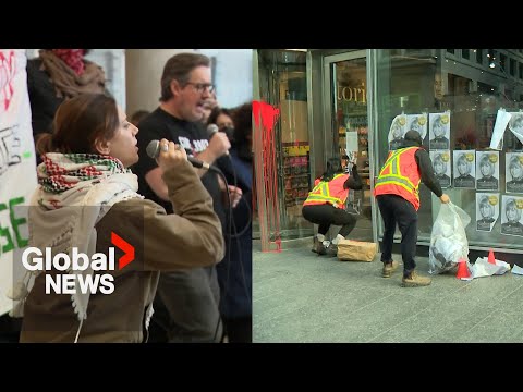 York University staff, students stage walkout over Toronto Indigo vandalism suspensions