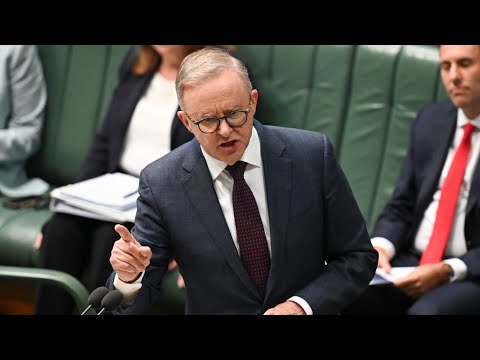 Anthony Albanese &lsquo;misled&rsquo; parliament and Australians over Qatar Airways issue