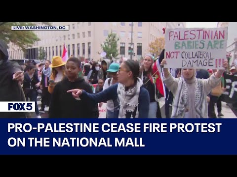 Pro-Palestine cease fire protest on the National Mall