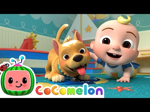 Pet Care Song | CoComelon Nursery Rhymes &amp; Kids Songs