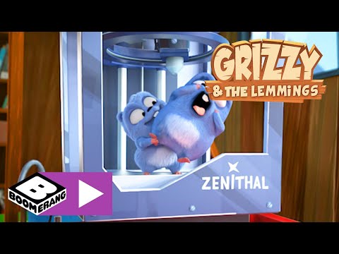 Grizzy i lemingi | Dziki model | Cartoonito